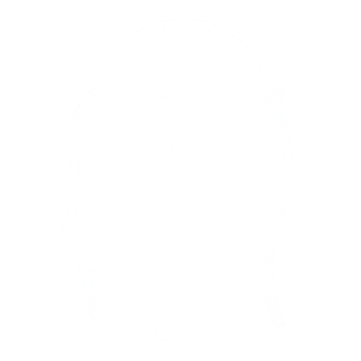 How Are Billions Counted in Exosomes?